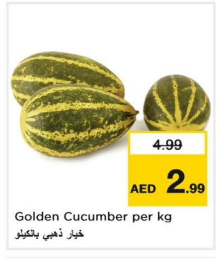 Cucumber available at نستو هايبرماركت in الإمارات العربية المتحدة , الامارات - الشارقة / عجمان