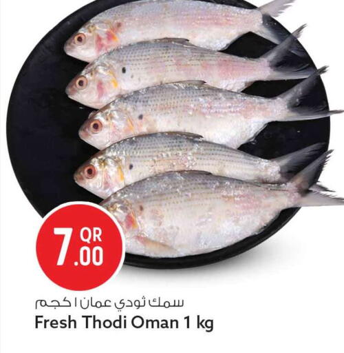 available at Safari Hypermarket in Qatar - Al Wakra