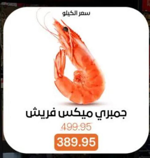 available at Beit El Gomla in Egypt - Cairo