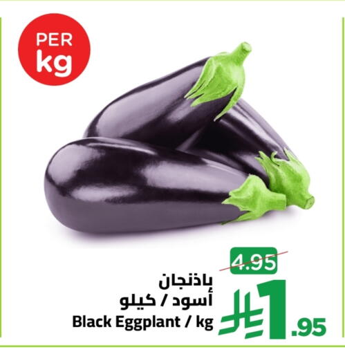 Eggplant available at Wahj Mart in KSA, Saudi Arabia, Saudi - Jeddah