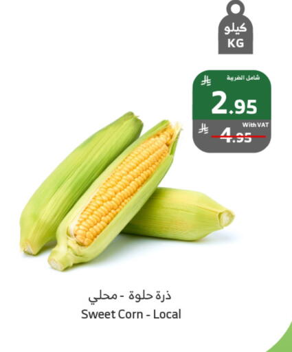 available at Al Raya in KSA, Saudi Arabia, Saudi - Ta'if