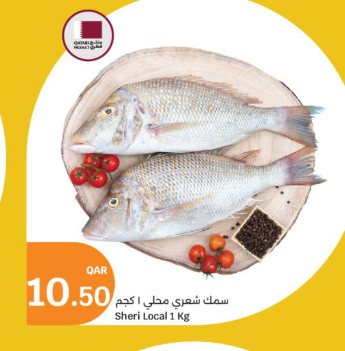 available at City Hypermarket in Qatar - Al Wakra