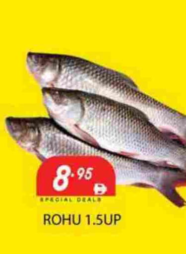 available at زين مارت سوبرماركت in الإمارات العربية المتحدة , الامارات - رَأْس ٱلْخَيْمَة