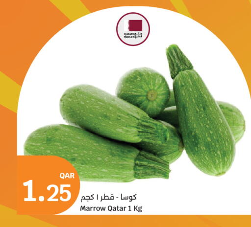 Marrow from Qatar available at سيتي هايبرماركت in قطر - أم صلال