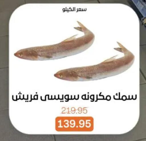 available at بيت الجملة in Egypt - القاهرة