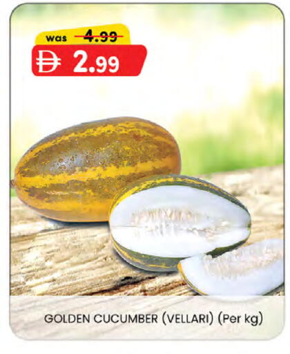 Cucumber available at ك. إم. هايبرماركت in الإمارات العربية المتحدة , الامارات - ٱلْعَيْن‎