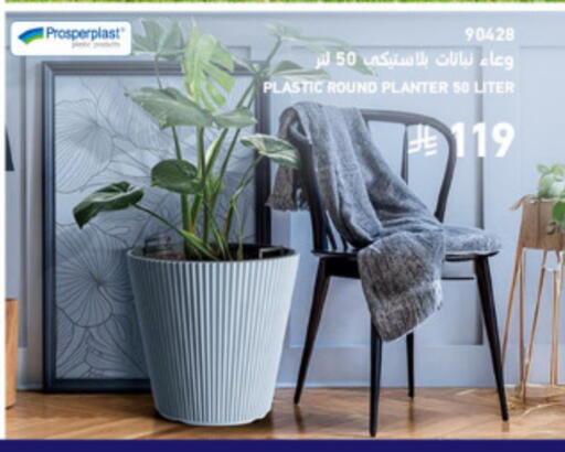 available at SACO in KSA, Saudi Arabia, Saudi - Khamis Mushait