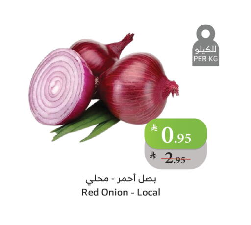 Onion available at الراية in مملكة العربية السعودية, السعودية, سعودية - ينبع