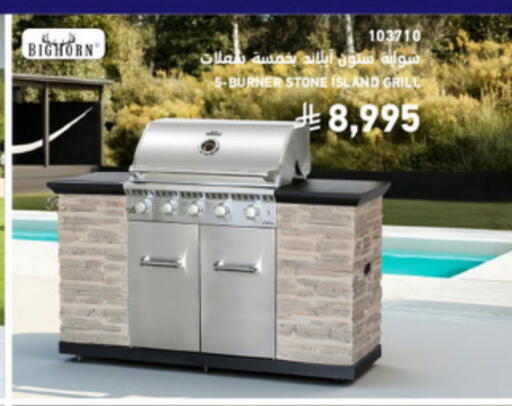 available at SACO in KSA, Saudi Arabia, Saudi - Buraidah