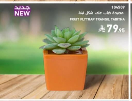 available at SACO in KSA, Saudi Arabia, Saudi - Abha