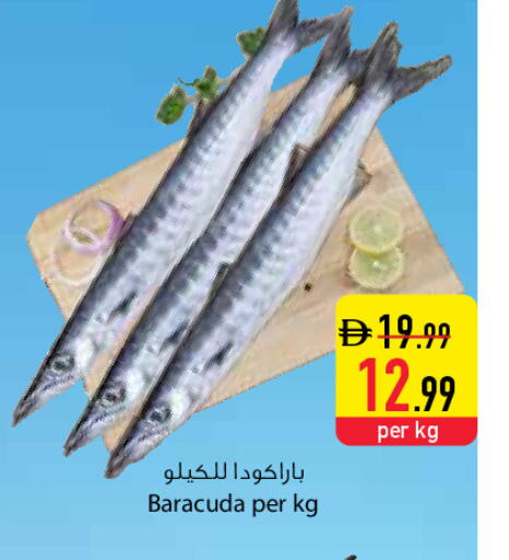 available at السفير ماركت in الإمارات العربية المتحدة , الامارات - الشارقة / عجمان