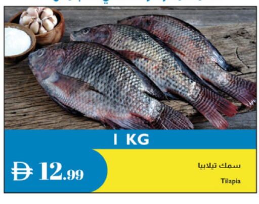 available at إسطنبول سوبرماركت in الإمارات العربية المتحدة , الامارات - أبو ظبي