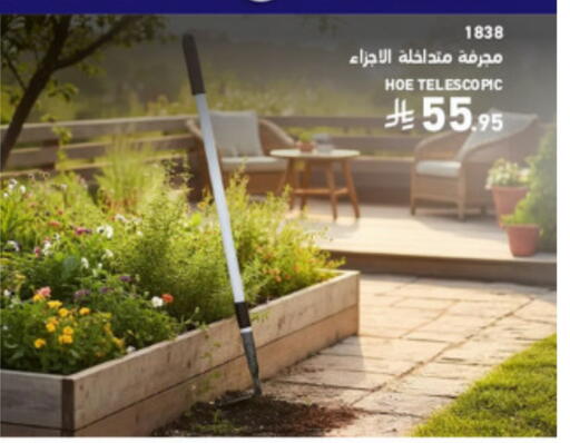 available at SACO in KSA, Saudi Arabia, Saudi - Al Bahah