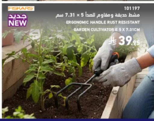 available at SACO in KSA, Saudi Arabia, Saudi - Medina