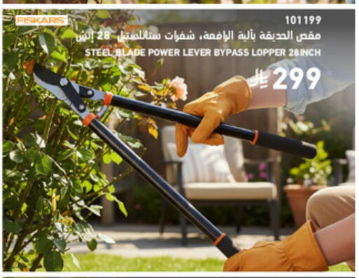 available at SACO in KSA, Saudi Arabia, Saudi - Medina