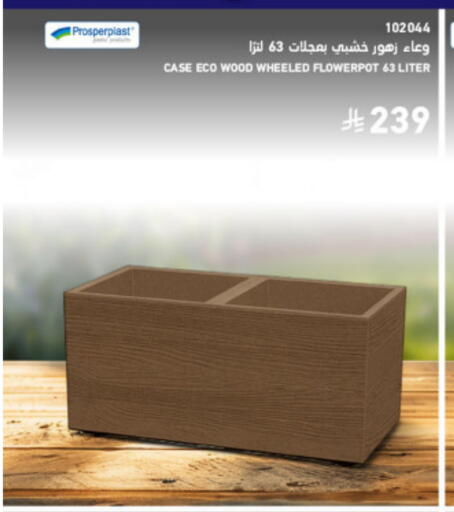 available at SACO in KSA, Saudi Arabia, Saudi - Medina