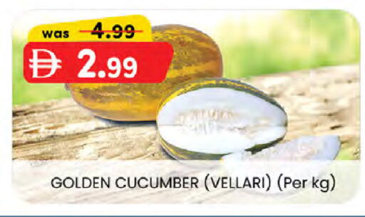 Cucumber available at ك. الم. للتجارة in الإمارات العربية المتحدة , الامارات - ٱلْفُجَيْرَة‎