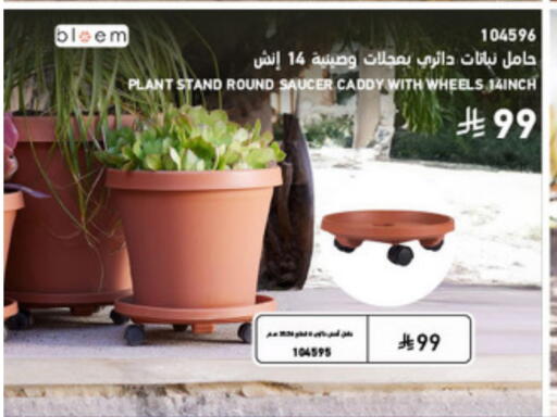 available at SACO in KSA, Saudi Arabia, Saudi - Al Khobar