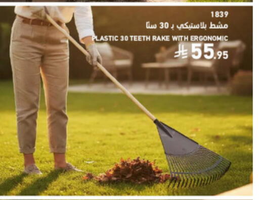 available at SACO in KSA, Saudi Arabia, Saudi - Medina