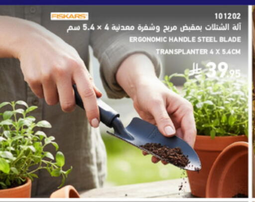 available at ساكو in مملكة العربية السعودية, السعودية, سعودية - تبوك