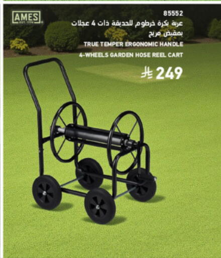 available at SACO in KSA, Saudi Arabia, Saudi - Medina