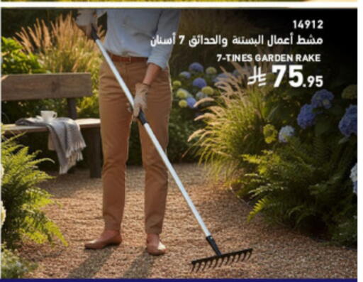 available at SACO in KSA, Saudi Arabia, Saudi - Medina