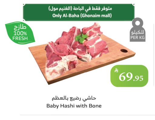 available at Al Raya in KSA, Saudi Arabia, Saudi - Al Bahah