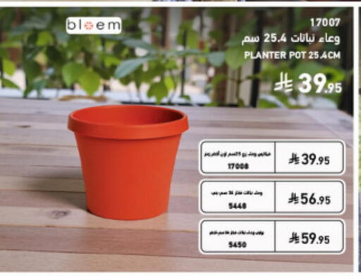 available at ساكو in مملكة العربية السعودية, السعودية, سعودية - عنيزة