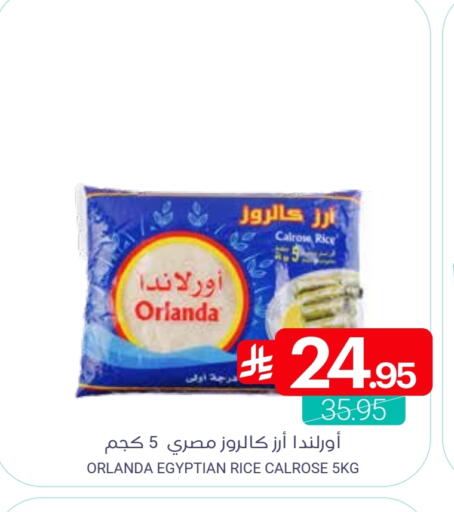 available at Muntazah Markets in KSA, Saudi Arabia, Saudi - Qatif