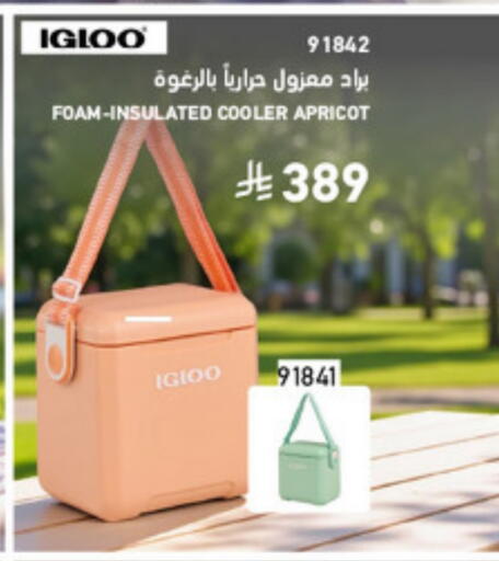 Apricot available at SACO in KSA, Saudi Arabia, Saudi - Hafar Al Batin