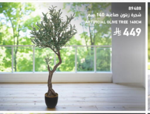 available at SACO in KSA, Saudi Arabia, Saudi - Sakaka