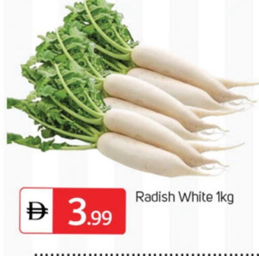 Radish available at TALAL MARKET in UAE - Dubai