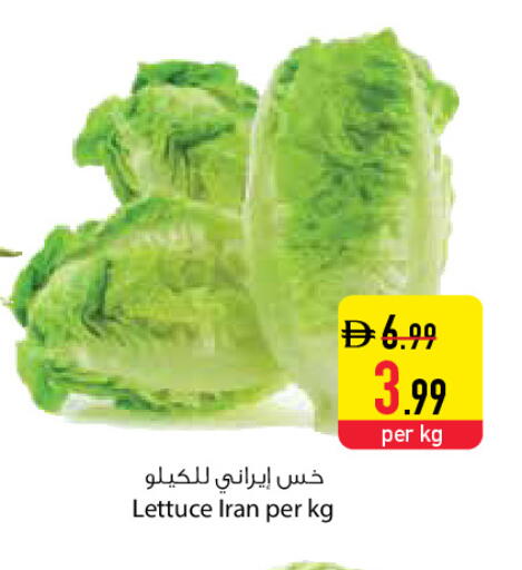 Lettuce from Iran available at السفير ماركت in الإمارات العربية المتحدة , الامارات - الشارقة / عجمان