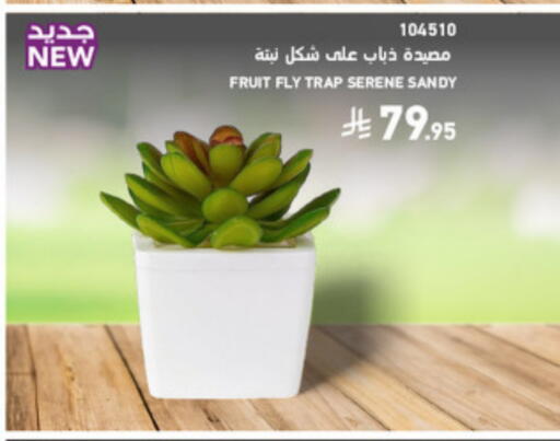 available at SACO in KSA, Saudi Arabia, Saudi - Abha