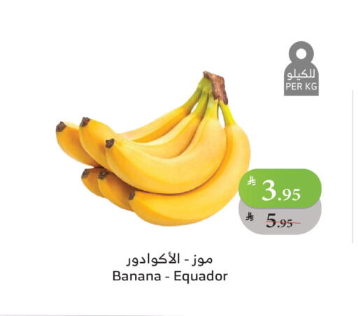 Banana available at Al Raya in KSA, Saudi Arabia, Saudi - Jazan