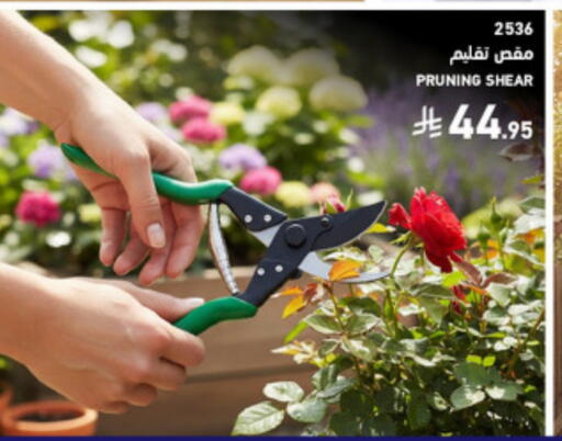 available at SACO in KSA, Saudi Arabia, Saudi - Medina