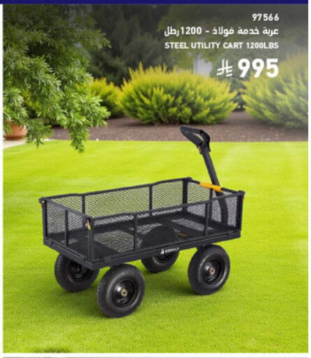 available at SACO in KSA, Saudi Arabia, Saudi - Medina