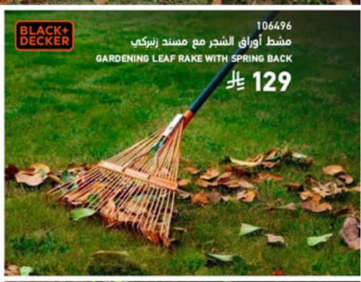 available at SACO in KSA, Saudi Arabia, Saudi - Medina