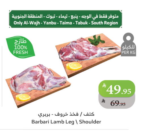 available at Al Raya in KSA, Saudi Arabia, Saudi - Abha