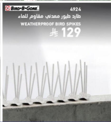 available at SACO in KSA, Saudi Arabia, Saudi - Al Bahah