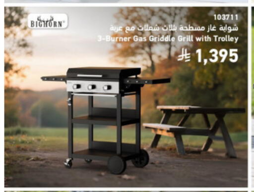 available at SACO in KSA, Saudi Arabia, Saudi - Medina