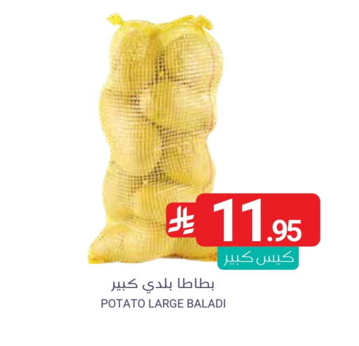 Potato available at Muntazah Markets in KSA, Saudi Arabia, Saudi - Qatif