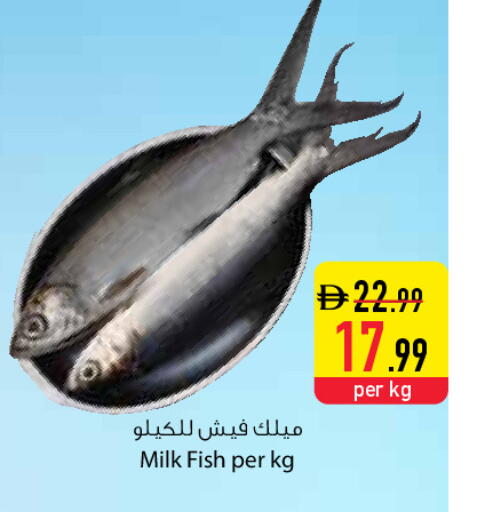 available at السفير ماركت in الإمارات العربية المتحدة , الامارات - رَأْس ٱلْخَيْمَة