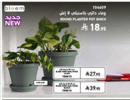 available at SACO in KSA, Saudi Arabia, Saudi - Medina