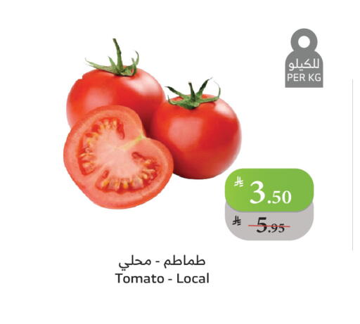 Tomato available at الراية in مملكة العربية السعودية, السعودية, سعودية - الطائف
