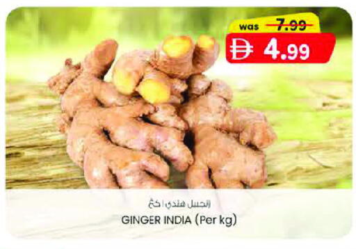 Ginger from India available at ك. الم. للتجارة in الإمارات العربية المتحدة , الامارات - الشارقة / عجمان