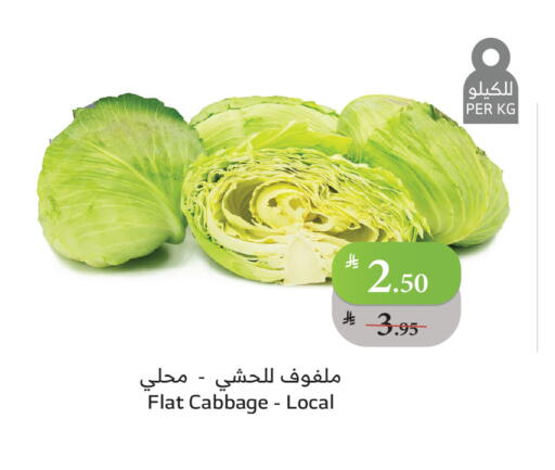 Cabbage available at Al Raya in KSA, Saudi Arabia, Saudi - Khamis Mushait