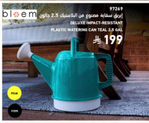 available at SACO in KSA, Saudi Arabia, Saudi - Medina