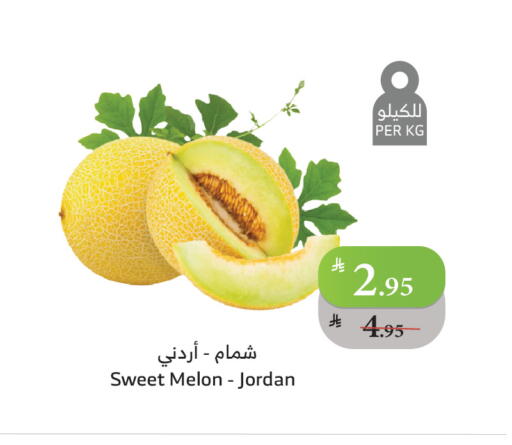 Melon from Jordan available at Al Raya in KSA, Saudi Arabia, Saudi - Khamis Mushait