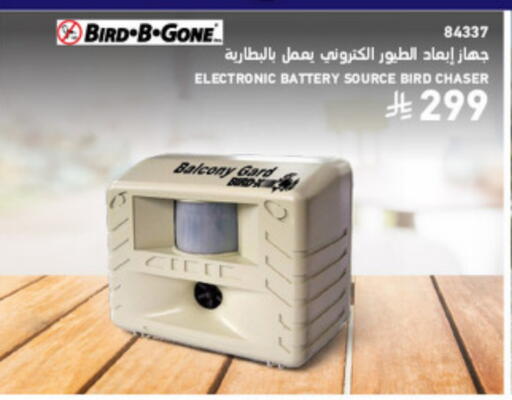 available at SACO in KSA, Saudi Arabia, Saudi - Medina